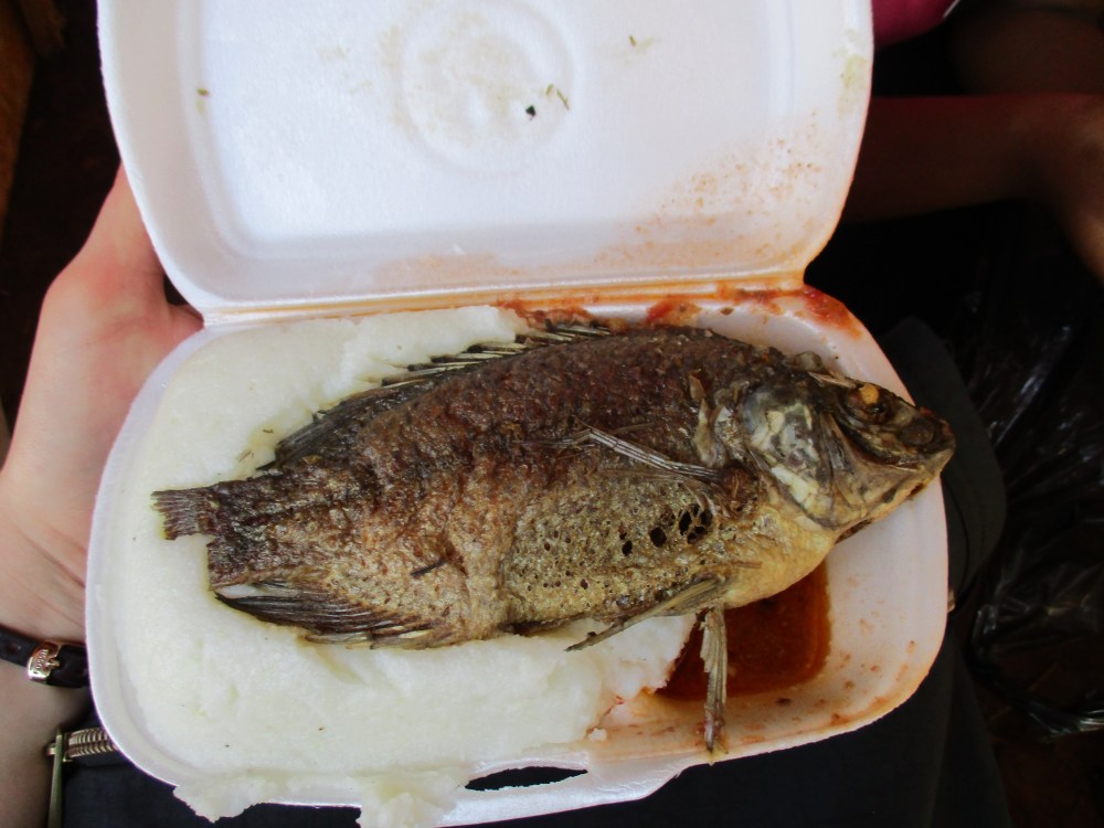 maganinzim Kuwadzana fish