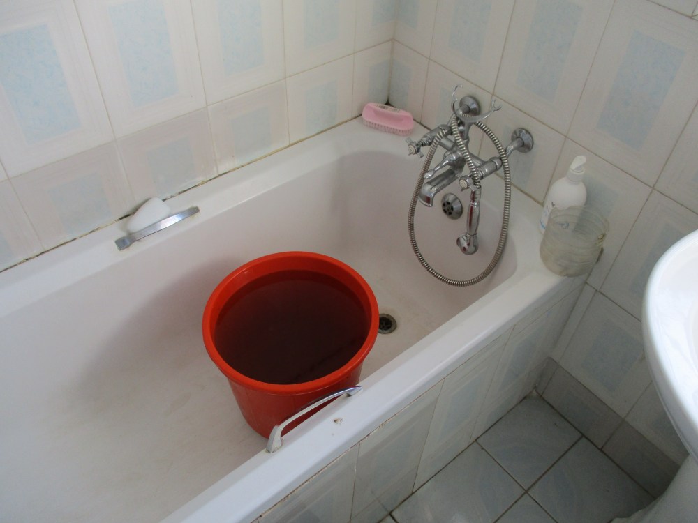 MaganinZim black water