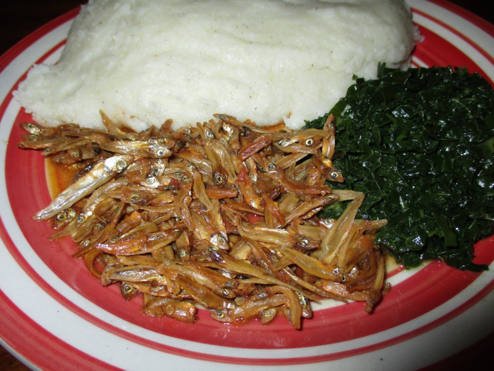 MaganinZim Sadsa with kovu and matemba